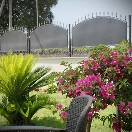 Guest house Euphoria 3*