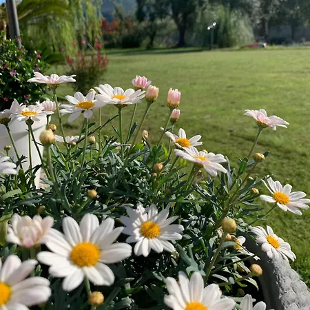 Euphoria Maison d'hôtes