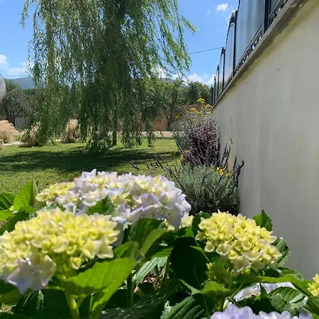 Casa de hóspedes Euphoria